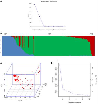 Genome-Wide Association Study Reveals Novel Marker-Trait Associations (MTAs) Governing the Localization of Fe and Zn in the Rice Grain